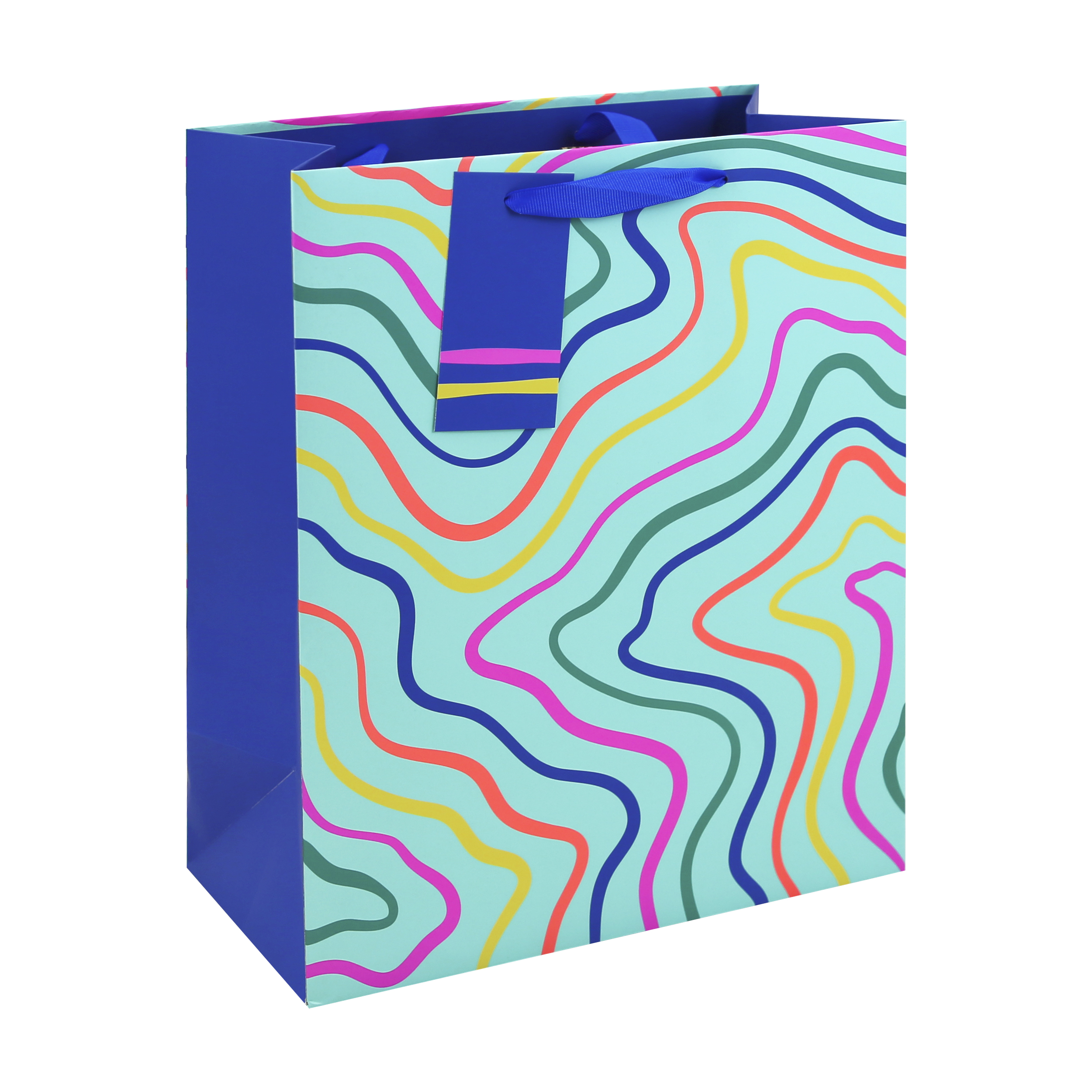 Eurowrap 6 Pack Gift Bag Neon Wave Large