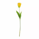 Parrot Tulip Yellow