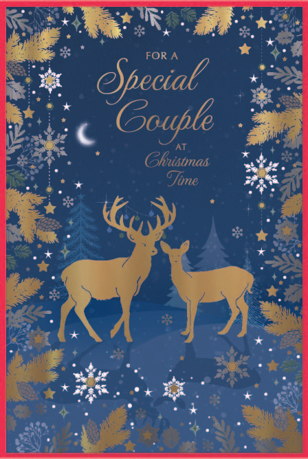 Simon Elvin C75 Christmas Special Couple 6pk