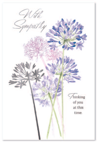 Simon Elvin C50 Sympathy Assortment 12x6pk