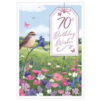 Prelude 6 Pack Cards C90 Birthday Age 70