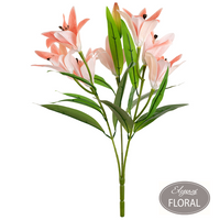 Eleganza Light Pink Lily Bush