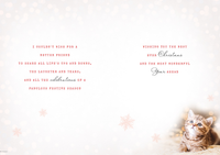 Regal 6 Pack C90 Cards Christmas Friend