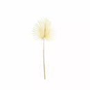 Dry Look Bleached Palm