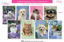 Simon Elvin Birthday Assortment 72 Pack 12x6pk