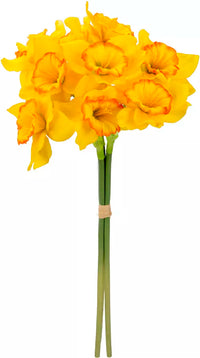 Eleganza Daffodil Bouquet Yellow 16" (9 Heads)