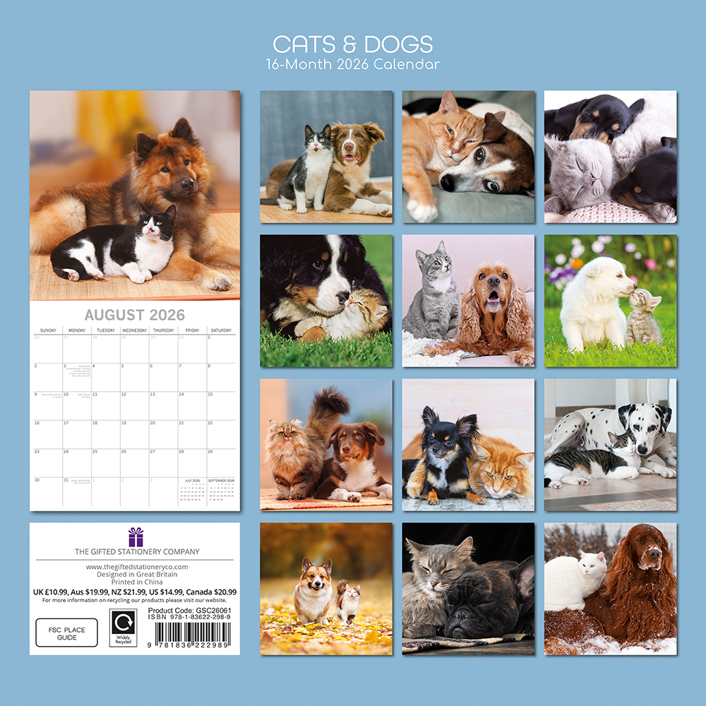 Gifted Stationery Calendar Cats & Dogs 2027