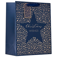 Partisan 6 Pack Gift Bag Christmas Star Large