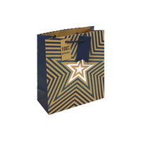6pk Gift Bag Kraft Blue Stars Medium Bag