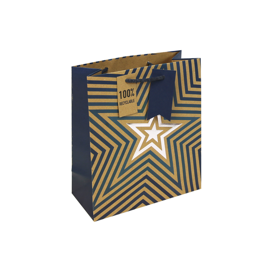 6pk Gift Bag Kraft Blue Stars Medium Bag