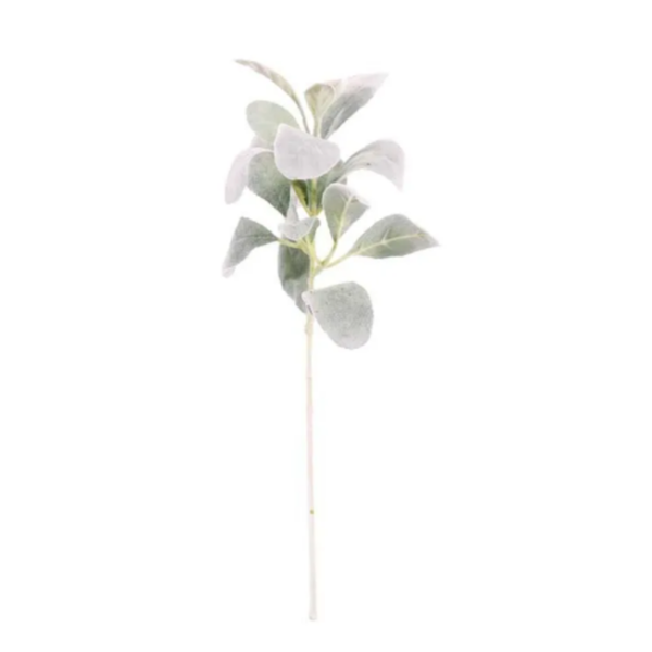 Green Lambs Ear Leaf Short Stem