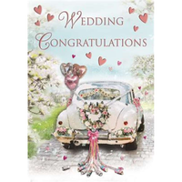 Regal 6 Pack Cards C75 Everyday Wedding