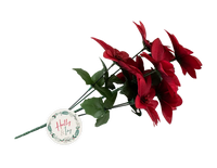 Gem Imports Poinsettia Spray Glittered 45cm