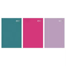 Diary A4 2DAP Appt Bright 2027 5pk