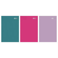 Diary A4 2DAP Appt Bright 2027 5pk