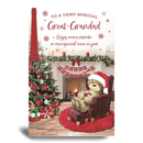 Prelude C75 Christmas Great-Grandad 6pk