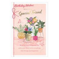 Prelude 6 Pack Cards C75 Birthday Friend