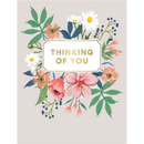 Regal 6 Pack Cards C50 Everyday Thinking Of You