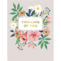 Regal 6 Pack Cards C50 Everyday Thinking Of You
