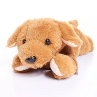 Tiger Feet Plush Dog 35cm (Design May Vary)