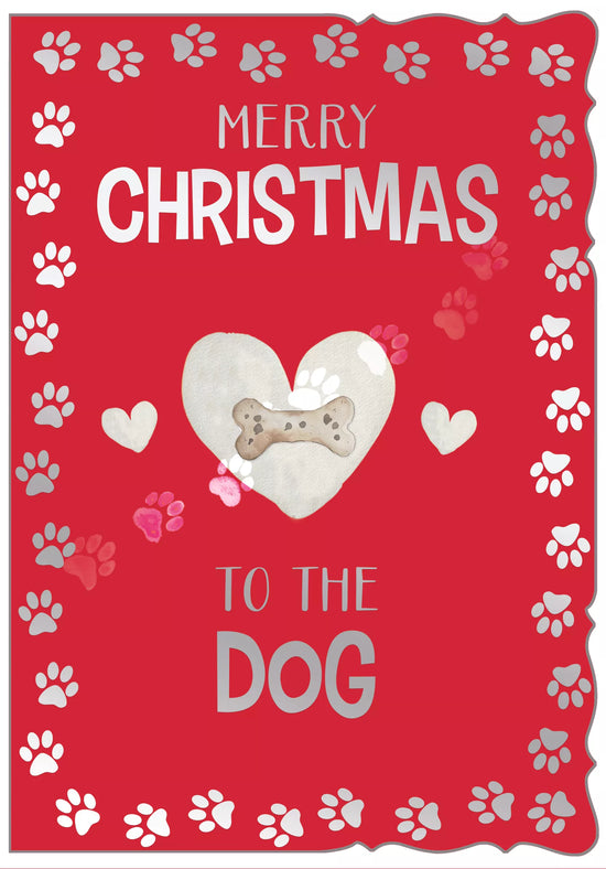Out Of The Blue C50 Christmas Dog 6pk