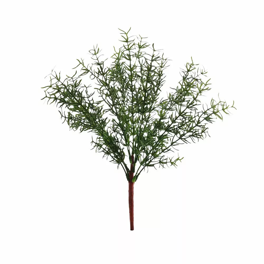 Herb Bush