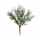 Herb Bush