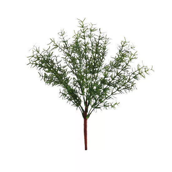 Herb Bush