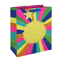 Eurowrap 6 Pack Gift Bag Neon Birthday Large