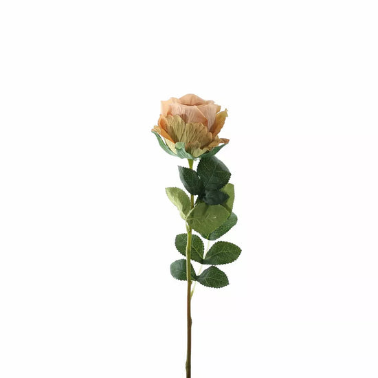 Garden Rose Vintage Nude
