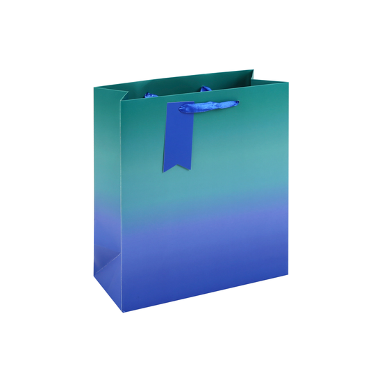 Eurowrap 6 Pack Gift Bag Blue Ombre Medium