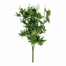 Acer Palmatum Bush Green