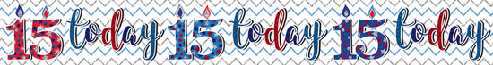 Age 15 Birthday Male Banner 2.6M 6pk