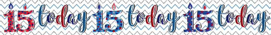 Age 15 Birthday Male Banner 2.6M 6pk