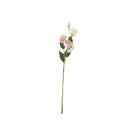 Lisianthus Pale Pink