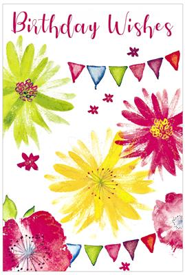 Simon Elvin 6 Pack Cards C50 Everyday Birthday