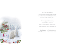 Regal 6 Pack C75 Cards Christmas Aunt