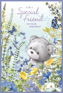Simon Elvin C75 birthday cards set featuring six colorful greeting cards with special friend messages