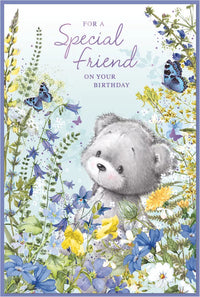 Simon Elvin C75 birthday cards set featuring six colorful greeting cards with special friend messages