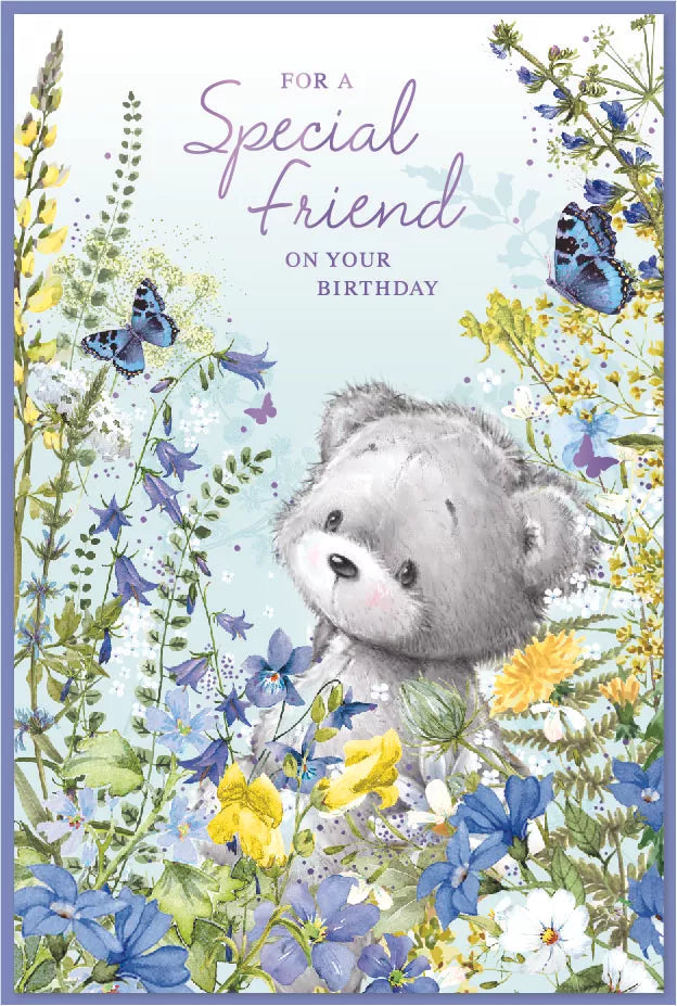 Simon Elvin C75 birthday cards set featuring six colorful greeting cards with special friend messages