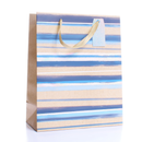 Tiger Feet 6 Pack Gift Bag Stripes Medium