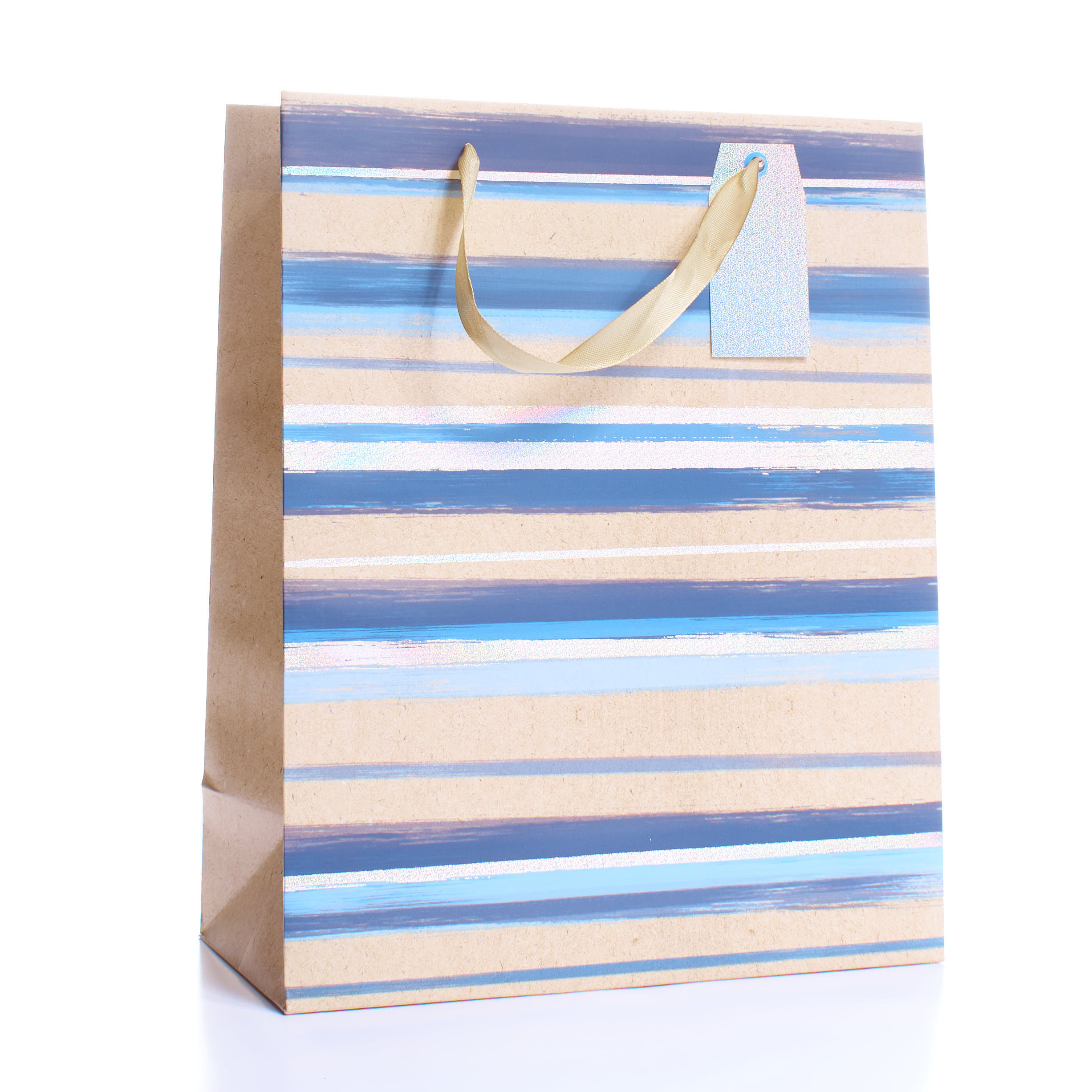 Tiger Feet 6 Pack Gift Bag Stripes Medium
