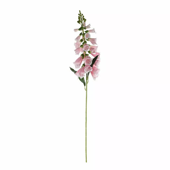 Foxglove Pink
