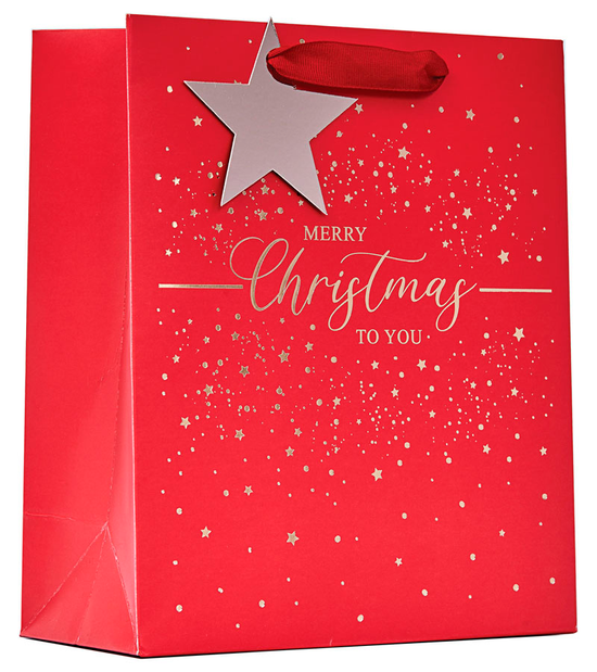 Partisan 6 Pack Gift Bag Merry Xmas Medium