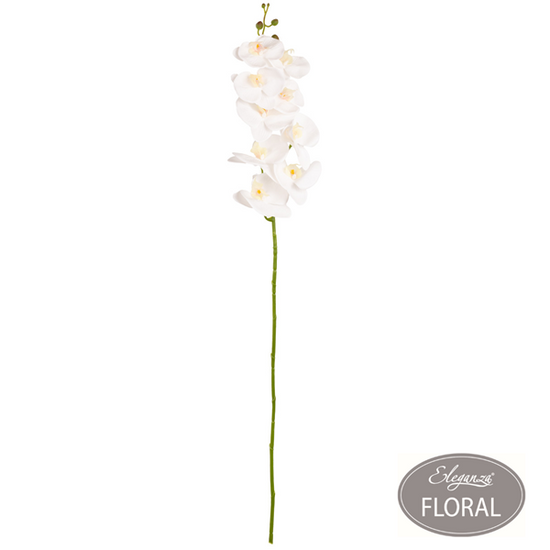 Eleganza White Phaleonopsis Orchid Stem