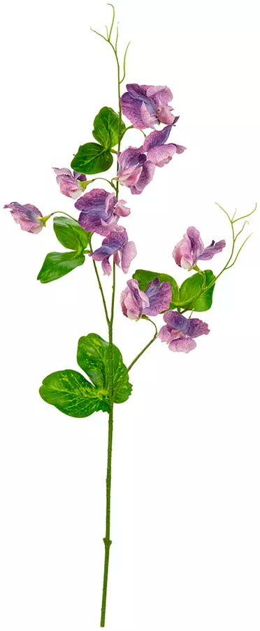 Eleganza Sweet Pea Spray Purple