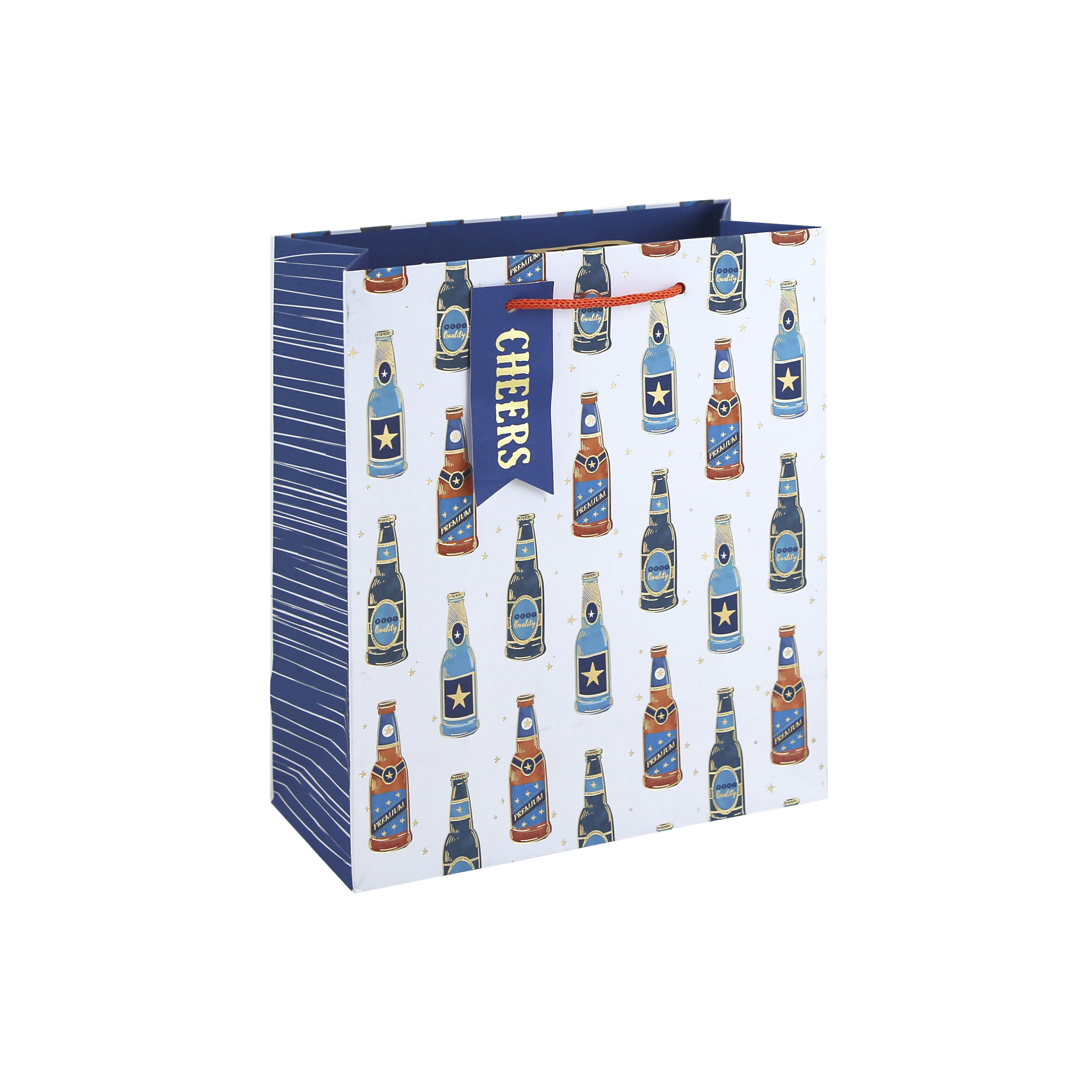 Eurowrap 6 Pack Gift Bag Beer Bottles Medium