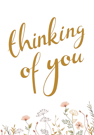 Kingsley C50 Everyday Thinking Of You 6pk
