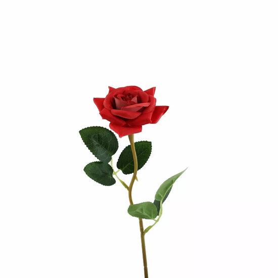 Rose Red