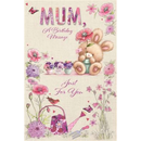 Simon Elvin C75 Birthday Mum 6pk